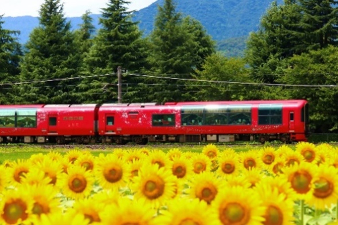 第9回みんなのトキてつコンテスト審査結果の発表 | えちごトキめき鉄道